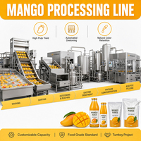 Línea de Producción de Jugos Multifuncional, Máquina Automática Personalizada para Hacer Jugos de Naranja, Manzana, Mango y Piña