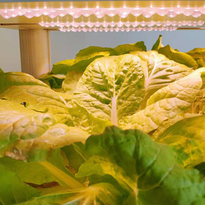 Aquaponic ระบบปลูกผักแบบไฮโดรโพนิกในร่มหอคอยบ้านสวน - Product Image 6