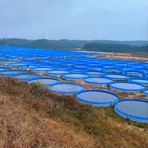 Estanque de Floculación Biológica <span class=keywords><strong>para</strong></span> Piscicultura, <span class=keywords><strong>para</strong></span> Cría de Camarones y Tilapia, Acuicultura - Product Image 2