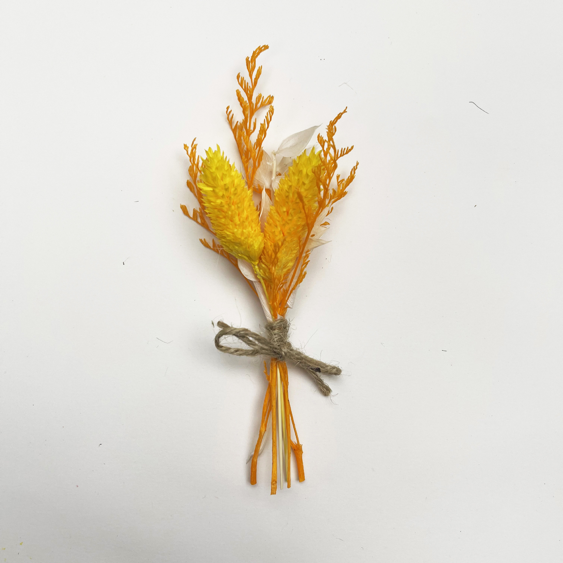 Style d'Halloween a 05