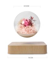 Nueva levitación magnética flor Rosa Luz regalo sala de estar mesita de noche LED levitando Mesa flotante lámpara de decoración del hogar