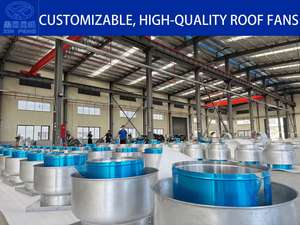 Ventilateur d'extraction de toit en acier inoxydable personnalisable OEM/ODM avec turbine à vent à cordon AC - Product Image 6