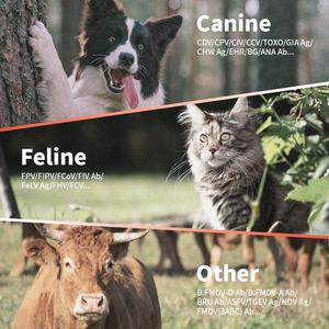 Hangzhou Itgen Dierenarts Snelle Testkit <span class=keywords><strong>Test</strong></span> <span class=keywords><strong>Strips</strong></span> Lyme Ziekte <span class=keywords><strong>Test</strong></span> Voor Honden - Product Image 6