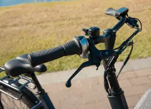 La bicicleta de carga eléctrica más vendida, bicicleta familiar de 2 Ruedas holandesa, bicicleta de 2 ruedas