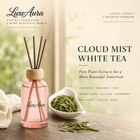 Diffuseur d'ambiance pour la maison : Huile parfumée, bâtonnets parfumés, diffuseur d'arômes sans flamme pour la décoration intérieure et l'aromathérapie