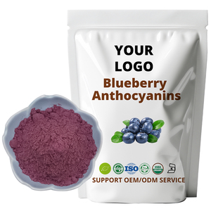 Bubuk Jus Blueberry Grosir Fairir, Bubuk Blueberry Organik Grade Makanan - Product Image 2