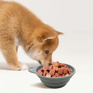 2024 idee per l'alimentazione degli animali domestici ciotole e alimentatori prodotti in Silicone pieghevole gatto cane ciotola da viaggio in Silicone pieghevole ciotola per animali