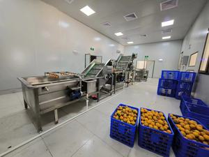 300L/500L/1000L/2000L Kombucha Fermentador De Aço Inoxidável - Product Image 6