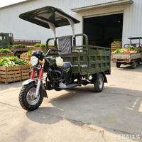 Tricycle cargo motorisé 200cc vert militaire avec auvent, véhicule de transport à trois roues pour l'Asie centrale