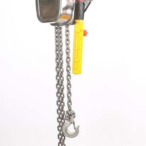 En çok satan çok fonksiyonlu kaldıraçlı kaldıraçlı kaldırma özel kasnak 10ton paslanmaz çelik elektrikli zincir blok - Product Image 5