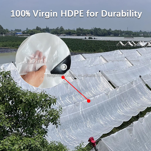 <span class=keywords><strong>Bâche</strong></span> transparente résistante aux déchirures et imperméable avec bords renforcés pour l'agriculture moderne - Product Image 2