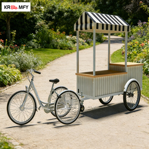 Chariot de vente ambulante pour glaces, mini congélateur commercial, chariot à main pour glaces mexicaines, chariot à main pour glaces - Product Image 5