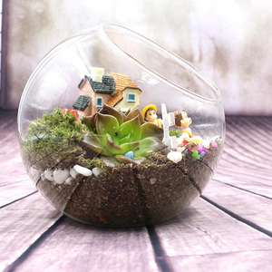 Plant <span class=keywords><strong>Terrarium</strong></span> Display Glas Tischplatte Sukkulente Luft Pflanze Pflanzer <span class=keywords><strong>Terrarium</strong></span> - Product Image 5