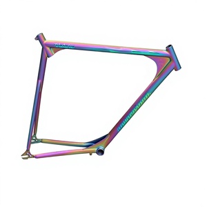 Cadre de vélo <span class=keywords><strong>Fixie</strong></span> en titane à vitesse unique personnalisé cadre de vélo de piste en titane arc-en-ciel - Product Image 1