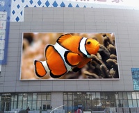 Mini P5 açık LED ekran Panel Billboard IP65 bulut tabanlı CMS havaalanı sergi salonu reklam animasyon ekran