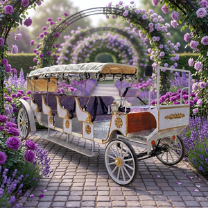 White Extended Multi <b>Row</b> Electric Sightseeing Carriage Purple Seat Folding Canopy Large Capacity - Product Image 1
