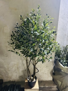 Tùy chỉnh nhân tạo Olive Tree Chậu tự nhiên tìm kiếm Faux Olive thực vật <span class=keywords><strong>bonsai</strong></span> cây cao mô phỏng Olive Tree cho trang trí - Product Image 6