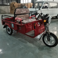 Vehículo Eléctrico, Motor de 800w, Dimensiones 2400*790*1120mm, Triciclos Eléctricos de Pasajeros de Alta Calidad
