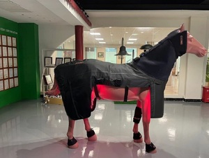 Cưỡi Ngựa ánh sáng đỏ trị liệu Pad ngựa Thảm toàn bộ cơ thể ngựa ánh sáng đỏ ngựa hồng ngoại trị liệu chăn - Product Image 6