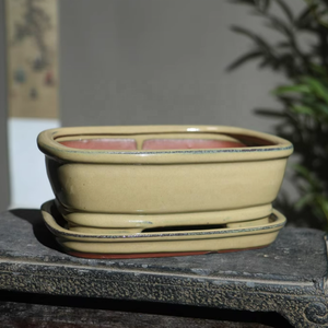 <span class=keywords><strong>Pot</strong></span> <span class=keywords><strong>de</strong></span> bonsaï <span class=keywords><strong>de</strong></span> <span class=keywords><strong>culture</strong></span> crémeuse <span class=keywords><strong>de</strong></span> 7 pouces avec plateau <span class=keywords><strong>Pot</strong></span> en argile émaillée Yixing avec plateau inférieur - Product Image 1