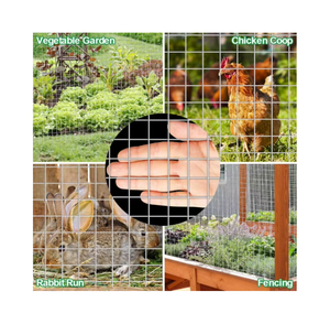 6x6 الخرسانة الملحومة شبكة سلكية <span class=keywords><strong>4x8</strong></span> لوحة شبكة سلكية - Product Image 1