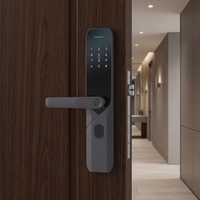 Système de porte de sécurité avec carte RFID, entrée sans clé, serrure électrique électronique, poignée de verrouillage, cylindres de porte, serrure intelligente pour maison