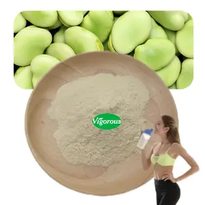 Plant-based Protein Sources Pure Faba Broad Bean Protein Isolate Powder Various Protein Powder