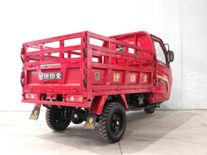 รถ200CC สามล้อ<span class=keywords><strong>บรรทุก</strong></span>สินค้า2ที่นั่งพร้อมห้องคนขับน้ำมันเบนซิน250CC 300CC ล้อมรอบด้วยห้องโดยสารรถสามล้อ - Product Image 5