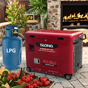 Générateur à faible bruit d'inverseur de gaz propane insonorisé de générateur de LPG 8KW - Product Image 1
