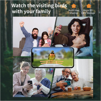 Mangeoire intelligente pour oiseaux avec identification des oiseaux, dispositif d'alimentation automatique pour l'observation des oiseaux dans le jardin, faune