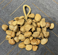 Music Healing Instruments South African Natural Plant Shell Nut Wind Chimes African Drum Accompaniment Hand Chimes