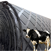 Tapis en caoutchouc robuste pour l'élevage, adapté aux vaches laitières, aux bovins, aux chevaux et aux animaux équins, tapis en caoutchouc agricole