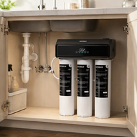 Système de purification d'eau RO sans réservoir sous l'évier, filtration d'eau, filtre à changement rapide pour la cuisine