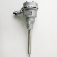 Thermocouple Haichen WRNNM-231 OEM en acier inoxydable IP65 résistant à l'usure, types K et E, pour cimenterie, charbon, cendres et centrale électrique