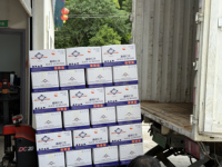 Arachides Riches en Acide Oléique Bantian en Gros – Personnalisation MOQ & Emballage ODM – Naturelles et Saines – Vente en Gros