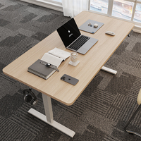 Escritorio Eléctrico Modular Moderno de Hierro OEM Personalizado, Ajustable en Altura, para Trabajar de Pie o Sentado, con Motor Único, Ergonómico, para Oficina en Casa