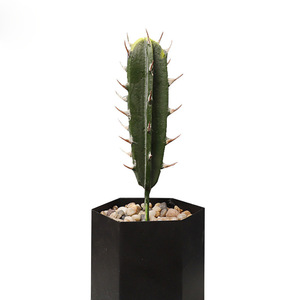 Artificial Cactus Potted <b>Plant</b> High Simulation <b>Plastic</b> Desktop Decor For Indoor Outdoor Use - Product Image 1