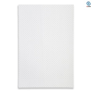 Plaque thermoplastique blanche LISA de type P, 600x900mm, perforée, en plastique médical pour orthèses - Product Image 2