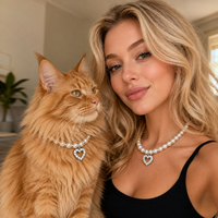 Collier pour animaux de compagnie élégant et confortable avec pendentif en zircon en forme de cœur de haute qualité