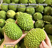 Jouet anti-stress souple en caoutchouc thermochromique en forme de durian pour enfants et adultes, vente en gros