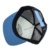 Casquette plate pour enfant avec oreilles de chat en peluche 3D, broderie appliquée chaton doux, design bleu à calotte plate