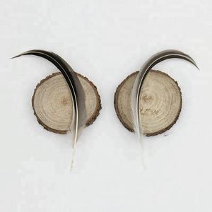 10-18cm punte delle <span class=keywords><strong>ali</strong></span> di anatra <span class=keywords><strong>con</strong></span> <span class=keywords><strong>piume</strong></span> curve <span class=keywords><strong>piume</strong></span> di anatra naturali per l'artigianato - Product Image 4