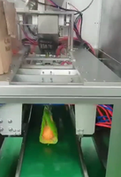 Machine d'emballage entièrement automatique pour sacs en filet d'orange, auto-développée, avec scellage thermique pour étiquettes, machine d'emballage pour agrumes, emballage en sacs filets