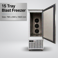 Congélateur-chiller rapide 15 plateaux 60*40*2cm pour boulangerie, crème glacée et produits alimentaires