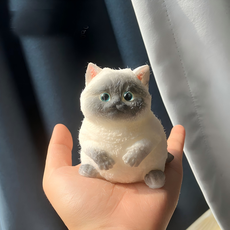 chat siamois