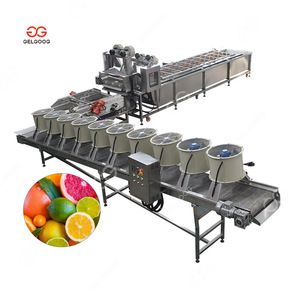 Hoàn toàn tự động đông lạnh ngày & trái cây chế biến phân loại và đóng gói Máy Cam Trái cây phân loại dòng - Product Image 6