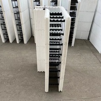 Bloc d'isolation EPS ICF de conception moderne à prix d'usine SongMao économe en énergie et respectueux de l'environnement pour la construction