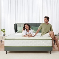 Matelas hybride Queen Size en mousse à mémoire de forme et ressorts ensachés, mousse de lit confortable avec un excellent soutien