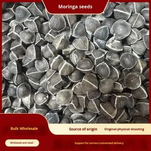 Pasokan langsung dari Yunnan partikel besar tangan pertama biji <span class=keywords><strong>Moringa</strong></span> India baru berbagai spesifikasi untuk produk pertanian - Product Image 5