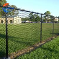 100ft Gegalvaniseerd Zwart Pvc Gecoate Kettingschakel Cycloon Gaas Hek Paneel Kettingschakel Voor Sportspel